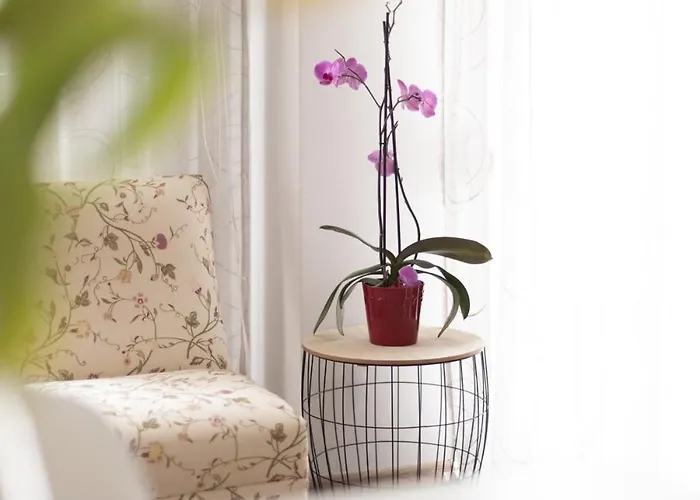 Niki's Comfort كافالا